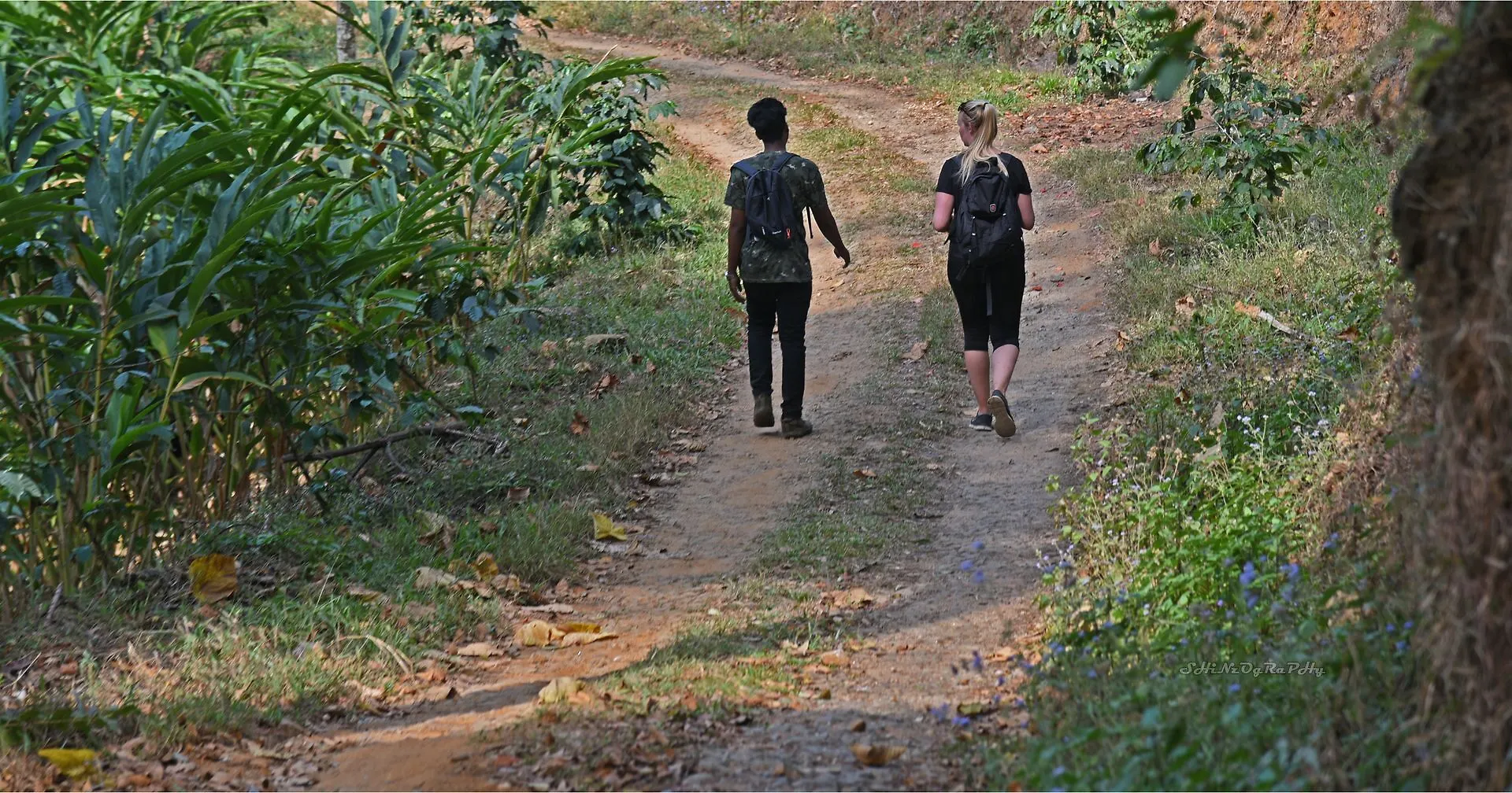 Hotel Dew Drops Farm Resorts Adimaly