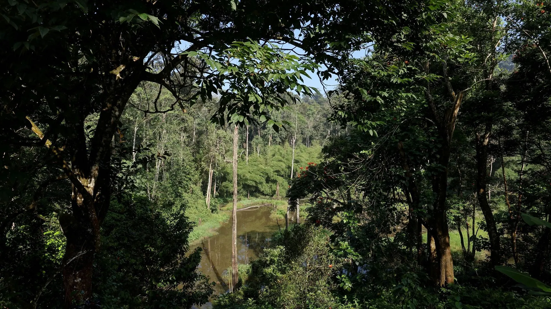 Hotel Dew Drops Farm Resorts Adimaly